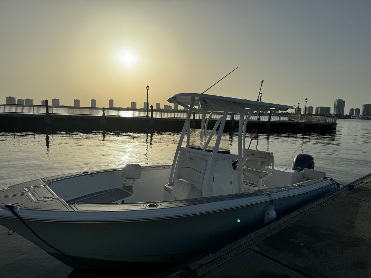 Sea Hunt Triton 225 Boat rental