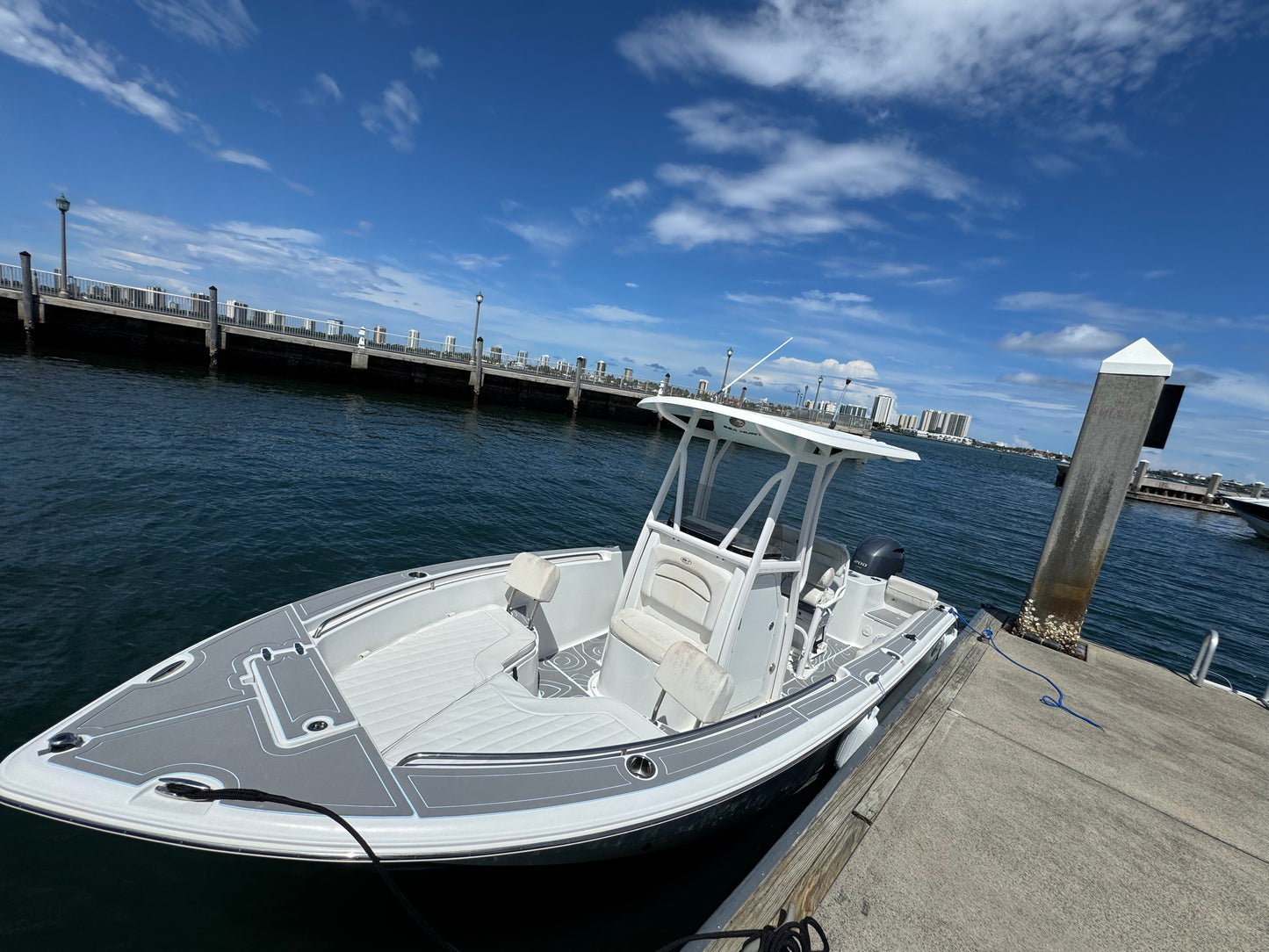 Sea Hunt Triton 225 Boat rental