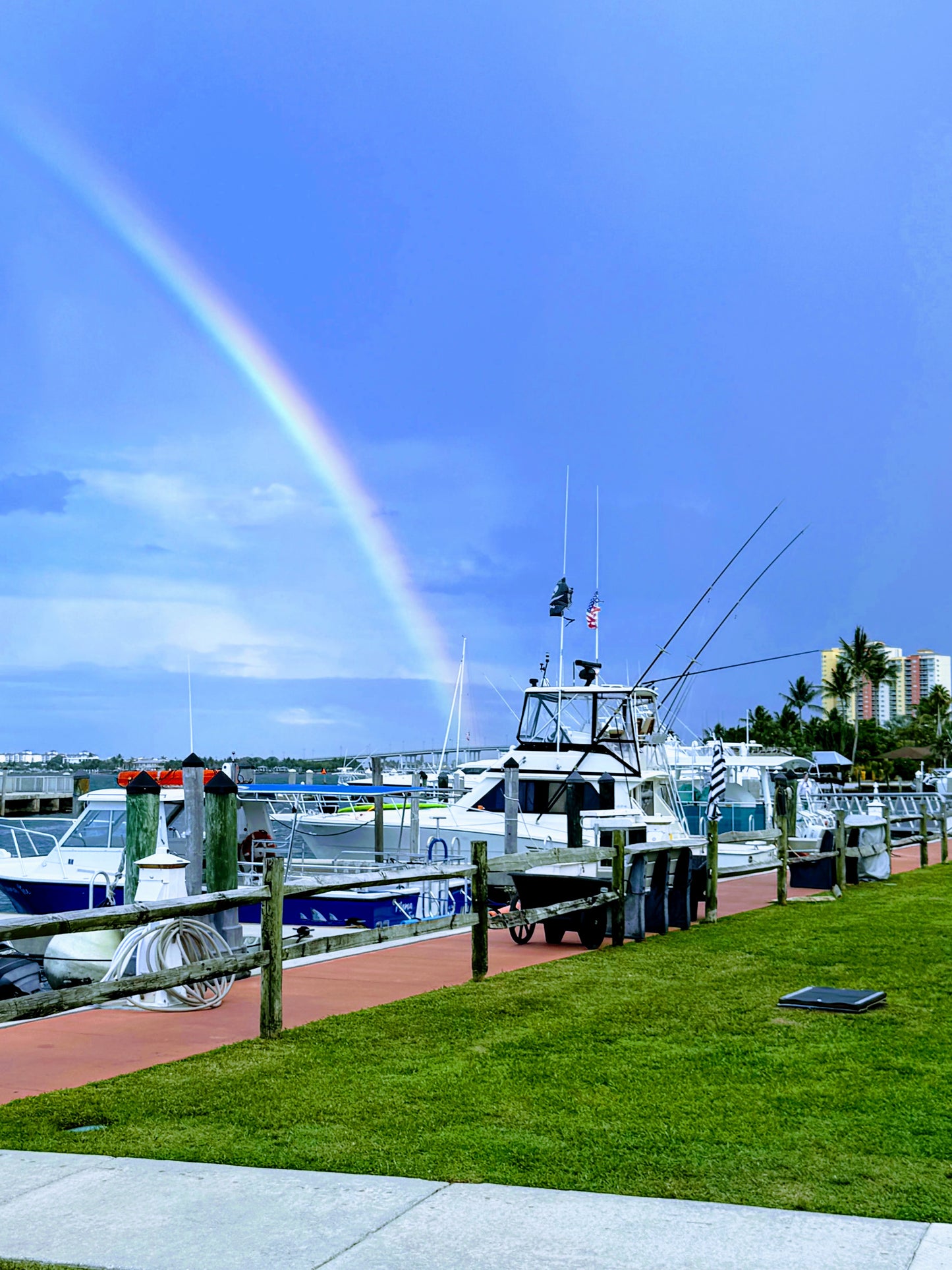 Sea Hunt Triton 225 Boat rental