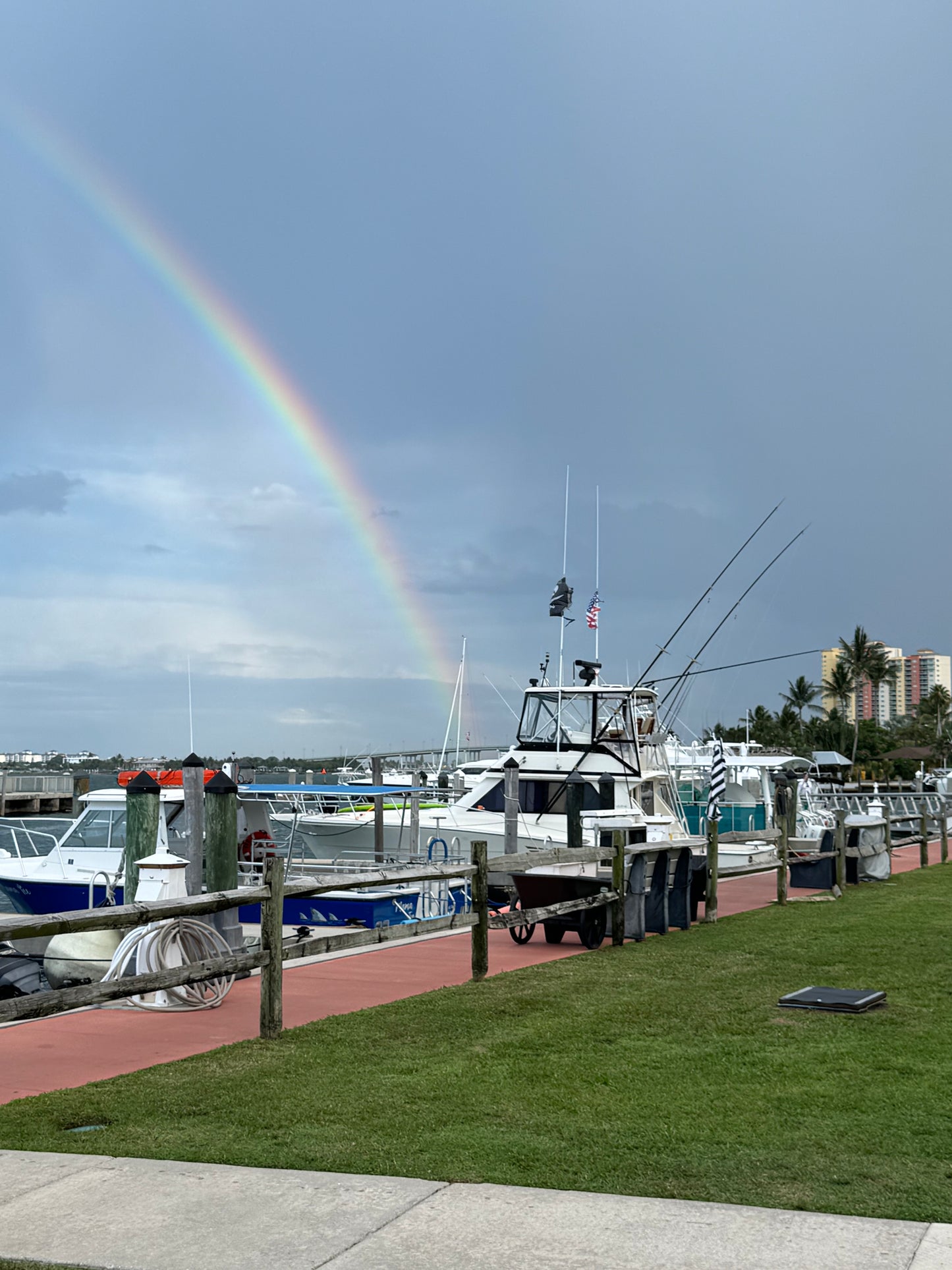 Sea Hunt Triton 225 Boat rental
