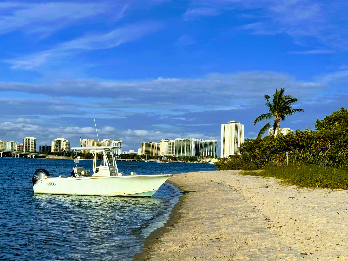 Sea Hunt Triton 225 Boat rental