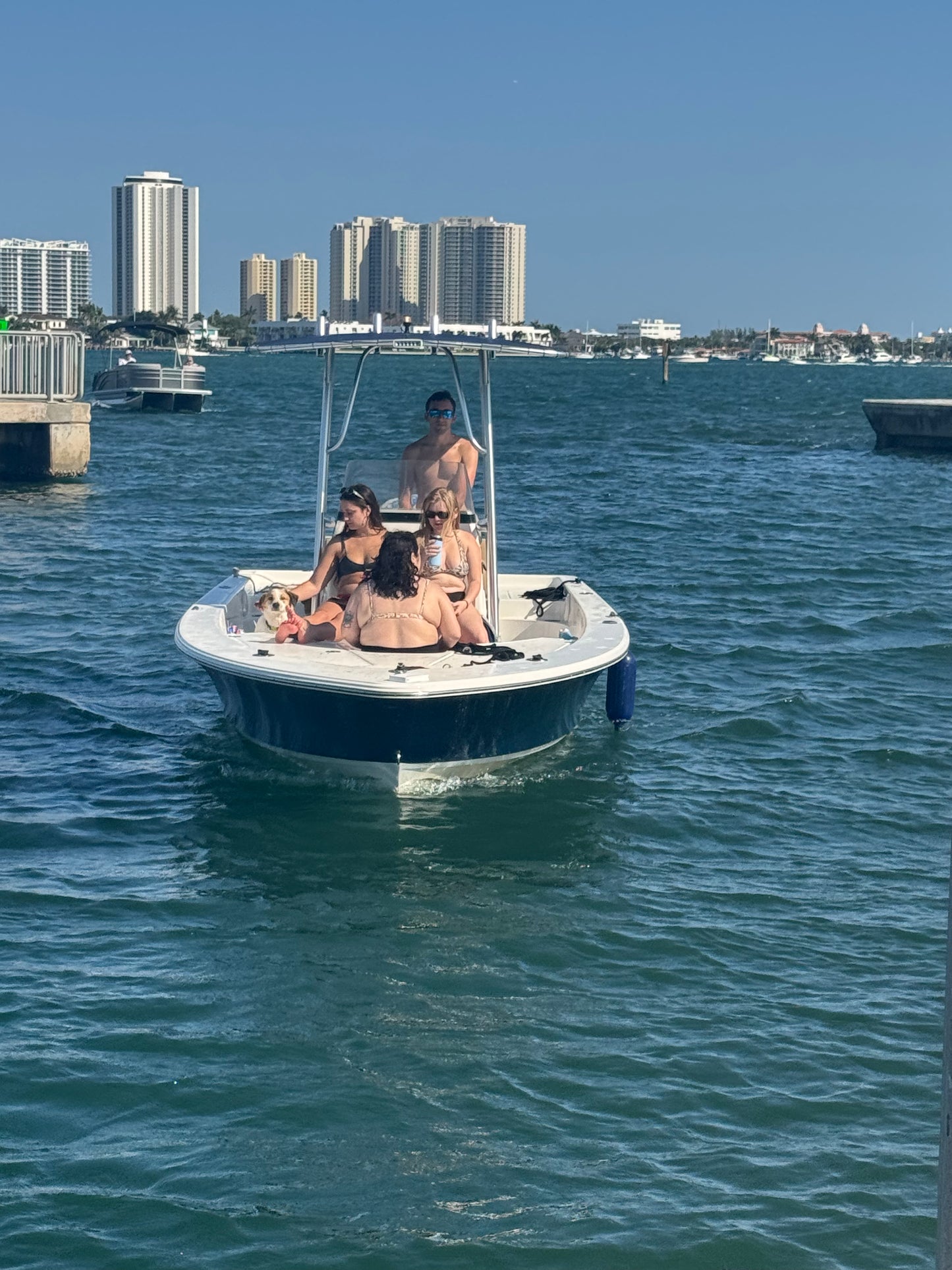 Sea Hunt Triton 225 Boat rental